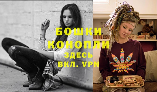 прущая мука Новодвинск