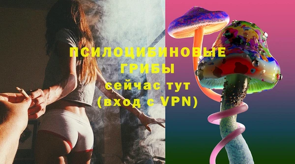 прущая мука Новодвинск