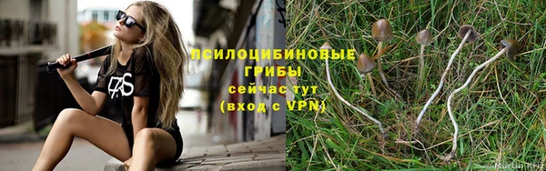 ALPHA-PVP Яранск