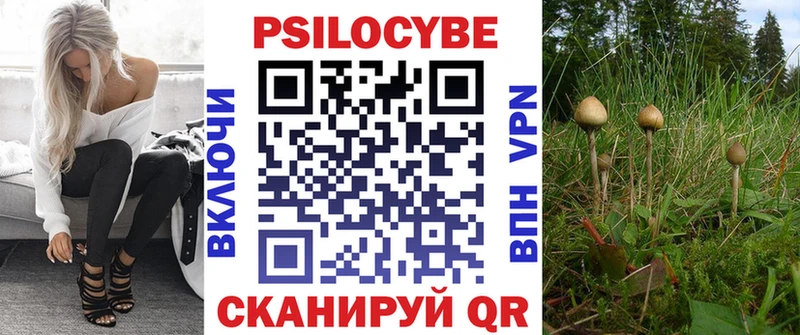 Псилоцибиновые грибы Psilocybe Бавлы